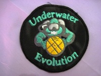 Patch