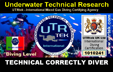 Technical Correctly Diver