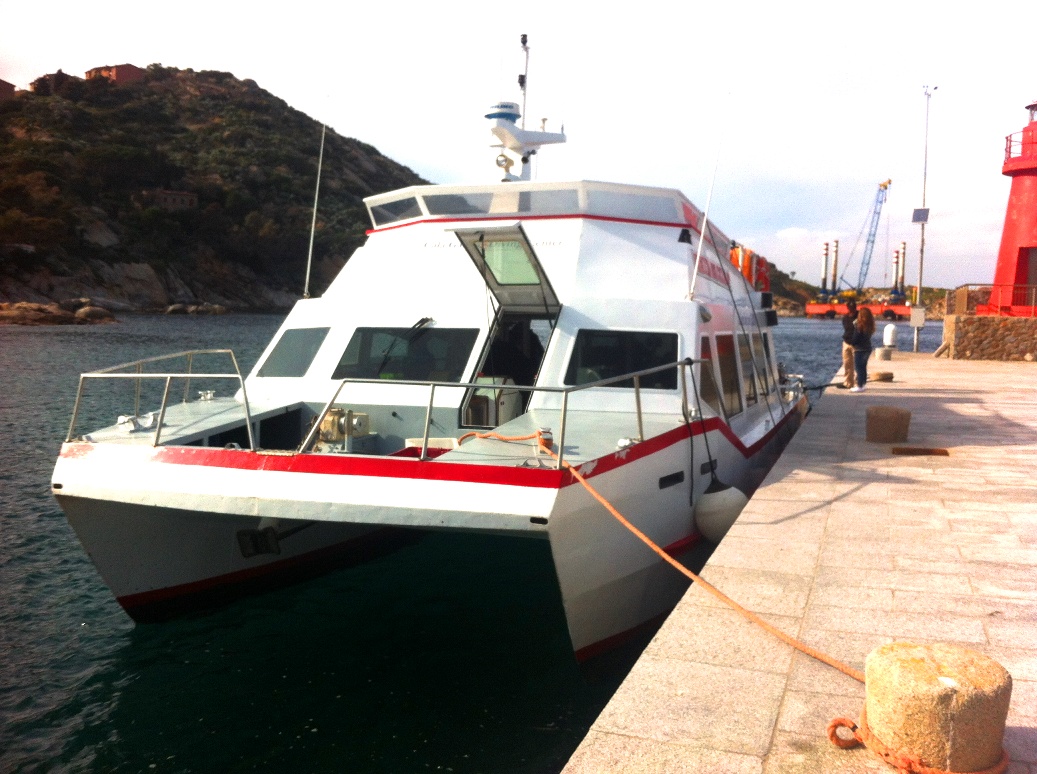 Freccia Del Giglio
