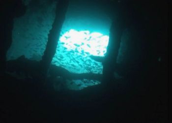 Interno Thistlegorm