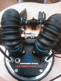 HammerHead testa