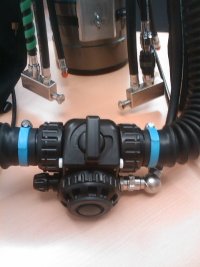 HammerHead Bov
