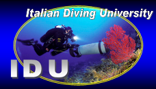 Italian Diving University