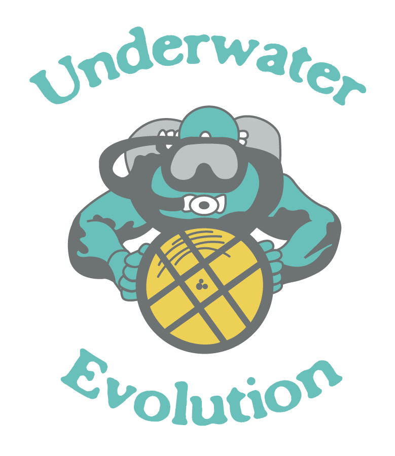 Underwater Evolution