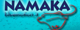 Namaka