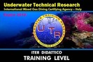 Training Level