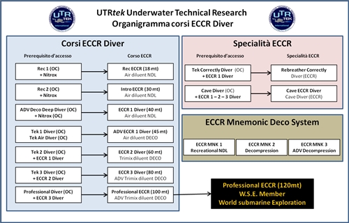 Organigramma ECCR UTRtek